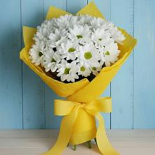 Букет цветов из:  Хризантемы в Гаврилов-Посаде