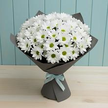 Букет белые хризантемы #REPLACE_PRED# Гаврилов-Посаде Букет цветов из:  Хризантемы #REPLACE_PRED# Гаврилов-Посаде