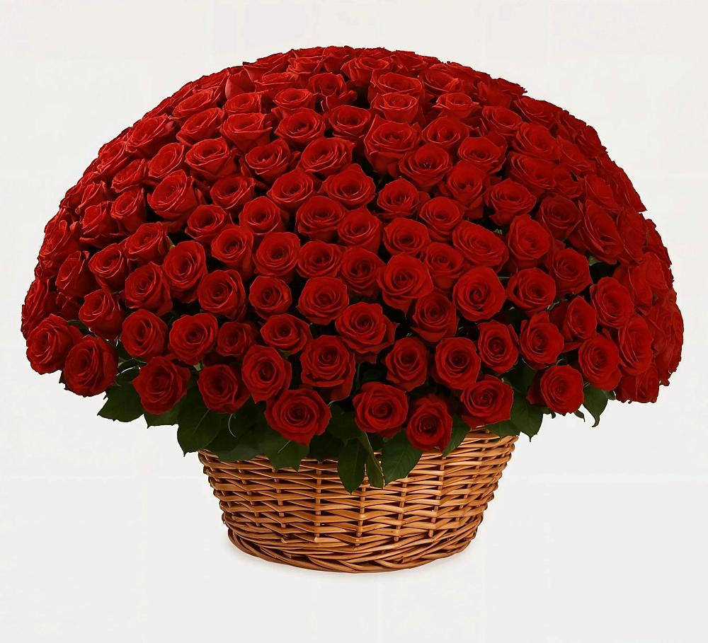 Премиум букет из: Розы в Гаврилов-Посаде